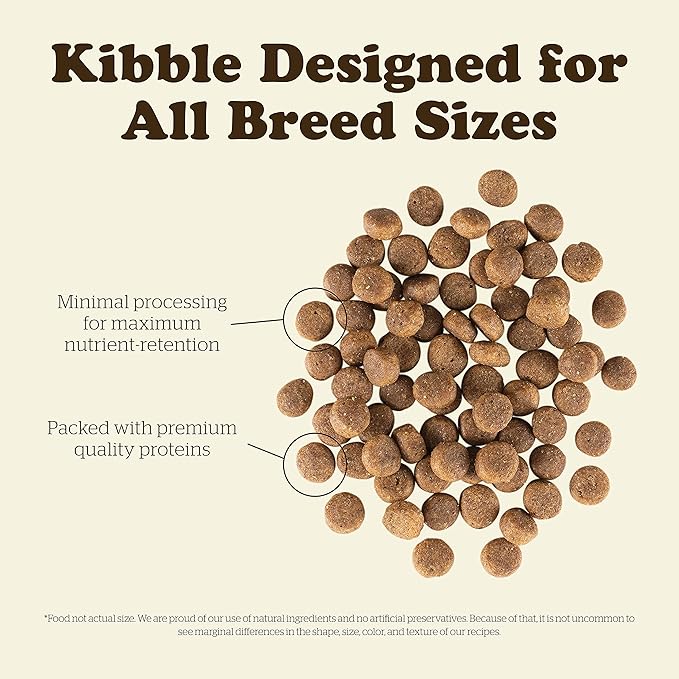 Now Fresh Grain Free Puppy Food, 3.5 lb - Dry Dog Food Recipe for Puppies - Real Meat and Fish for Protein - Healthy Diet for Small, Medium and Large Breed Dogs