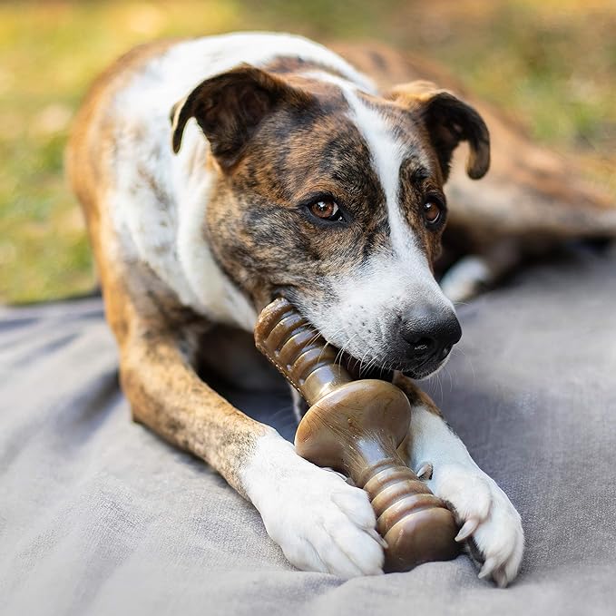 Benebone Zaggler Rolling Dog Chew Toy for Aggressive Chewers, Real Bacon, Made in USA, Giant
