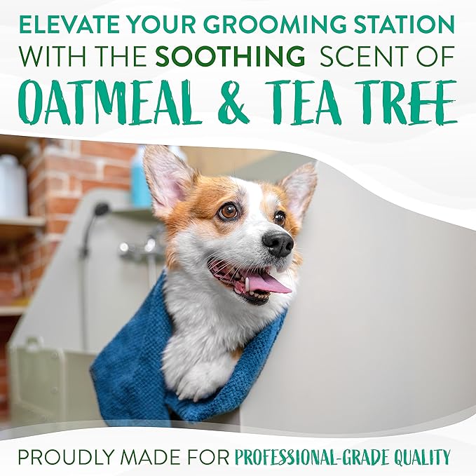 TropiClean Medicated Dog Shampoo for Allergies and Itching | Tea Tree & Oatmeal Dog Shampoo for Sensitive Skin | Natural Pet Shampoo Derived from Natural Ingredients | Made in the USA | 2.5 gallon