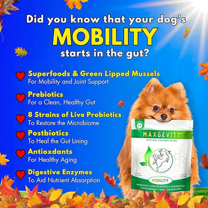 MAXGEVITY Mobility, Hip & Joint Support Meal Topper with Glucosamine & Green Lipped Mussels, Live Probiotics, Pre & Postbiotics, Digestive Enzymes, and Antioxidants | Up to 180 Day Supply.