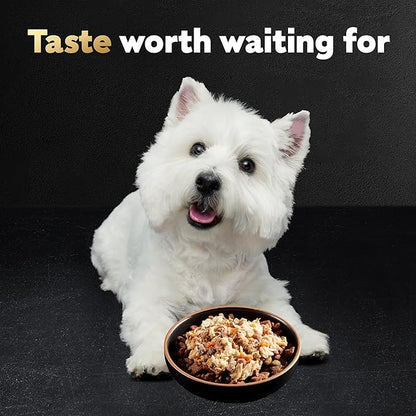 CESAR WHOLESOME BOWLS Adult Soft Wet Dog Food Beef, Chicken, Carrots, Barley & Green Beans Recipe, (10) 3 oz. Bowls