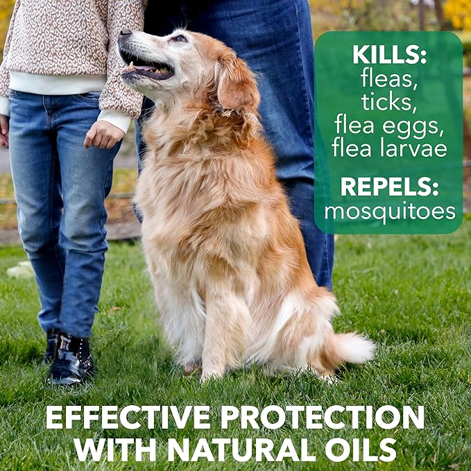 Hartz Nature’s Shield Flea & Tick Home Spray, Natural and Effective Flea & Tick Prevention and Home Protection with Cedarwood and Lemongrass Oil, 32 Ounces