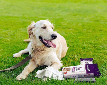 Premium Formulations XL Flushable Pet Wipes 48 Count (Single Pack)