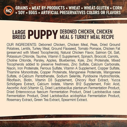 Wellness Natural Pet Food Wellness CORE Grain-Free High-Protein Large Breed Dry Dog Food, Natural Ingredients, Made in USA with Real Chicken (Puppy, 24-Pound Bag)