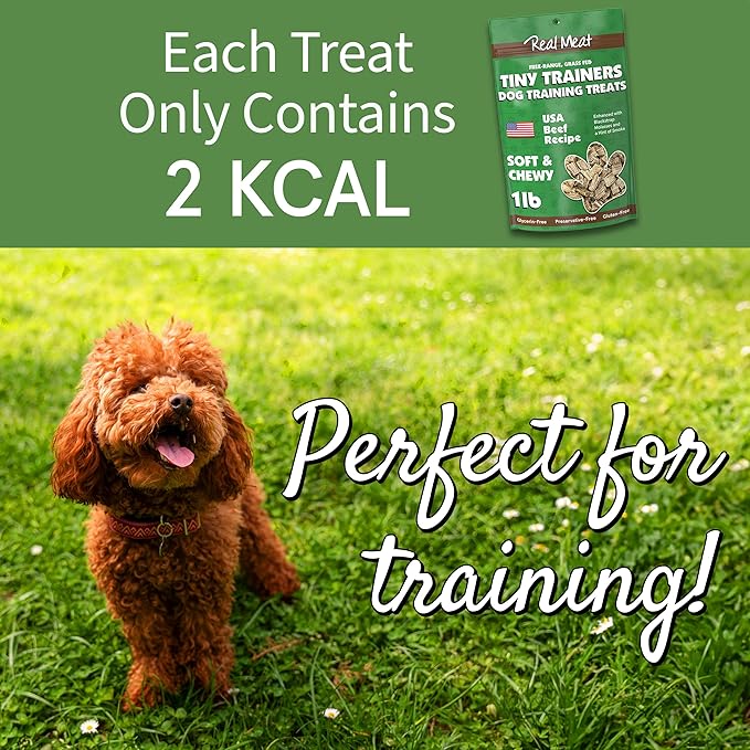Real Meat Tiny Trainer Bites Dog Treats - 1lb of USA-Made Soft & Chewy Air-Dried Beef Training Treats for Dogs & Puppies - All-Natural Grain-Free Dog Training Treats with Free-Range Grass-Fed Beef