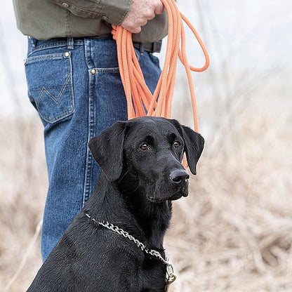 SportDOG Brand Orange Check Cord - 30 Feet Long - Strong but Lightweight Training Tool - Highly Visible and Floats