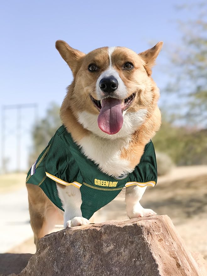 NFL Green Bay Packers Dog Jersey, Size: X-Small. Best Football Jersey Costume for Dogs & Cats. Licensed Jersey Shirt
