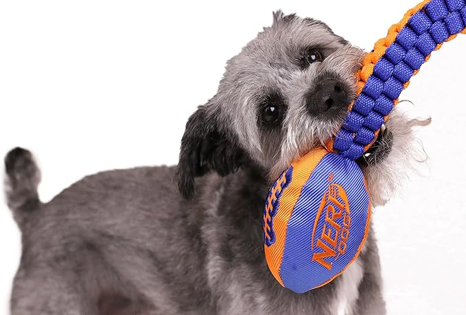 Nerf Dog Vortex Chain Tug Dog Toy with Squeaker Football Head, Lightweight, Durable, Water Resistant, 30 Inches, For Medium to Extra-Large Breeds, Single Unit (3474)