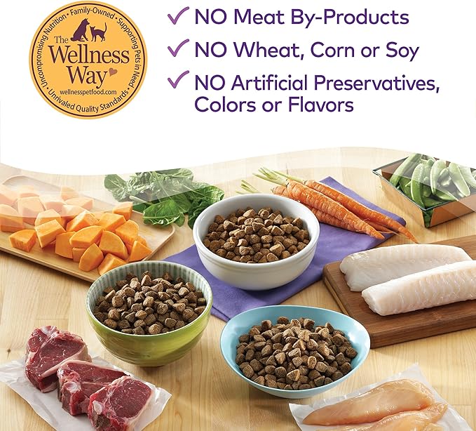 Wellness Complete Health Large Breed Dry Dog Puppy Food with Grains, Natural Ingredients, Made in USA with Real Meat (Puppy, Chicken, Salmon & Rice, 30-Pound Bag)
