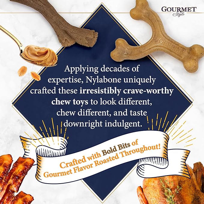 Nylabone Gourmet Style Strong Chew Wishbone Dog Chew Toy, Bacon Flavor, Small/Regular (1 Count)
