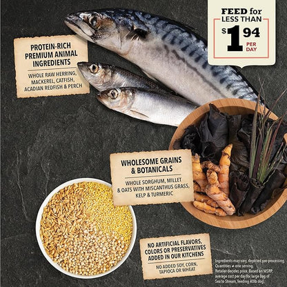 ACANA Wholesome Grains Dry Dog Food, Sea to Stream, Saltwater and Freshwater Fish & Grains Recipe, 22.5lb