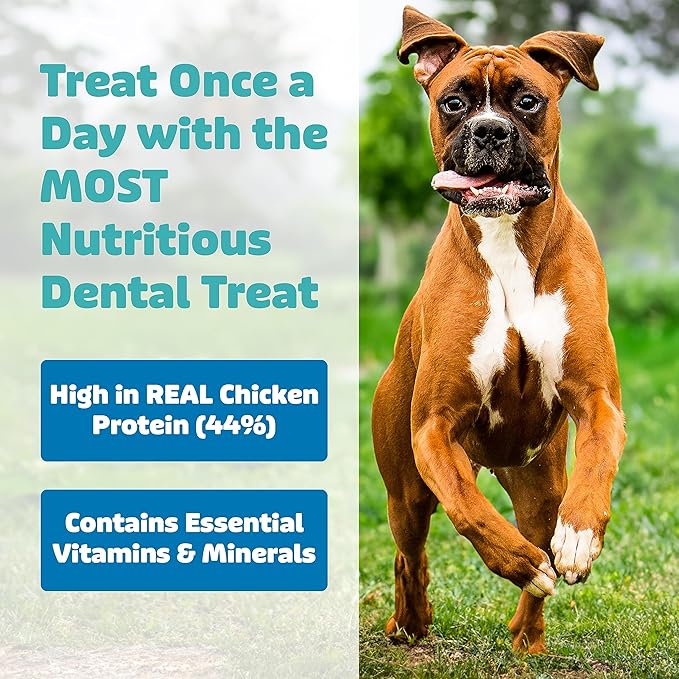 Dog Dental Treats | Vet VOHC Approved | Protein Treat | Dental Care & Cleaning Comb Shape | Yummy Dog Treats | Dental Dog Treats for Medium Dogs (12oz, 15 Count)