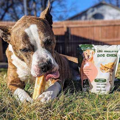 True Himalayan Yak Cheese Dog Chews Long Lasting Odor Free Dental Chews for Dogs, Natural Cheesy Dog Bones for Aggressive Chewers, Healthy Dog Treats (Small, 7, Count)