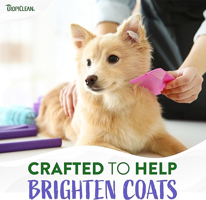 TropiClean Awapuhi Coconut Whitening Dog Shampoo for White Coats & All Coat Types | Natural Pet Shampoo Derived from Natural Ingredients | Cat Friendly | Made in the USA | 2.5 gal.