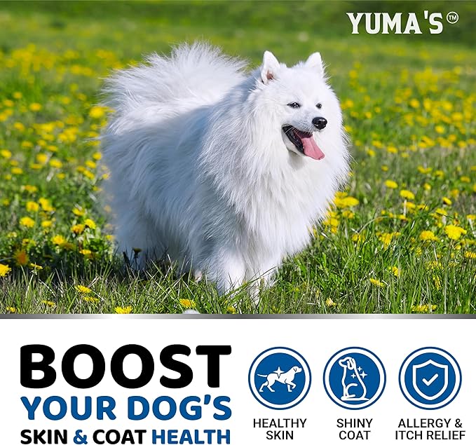 Omega 3 Fish Oil for Dogs - 170 Chews - Skin and Coat Supplement - Omega 3 for Dogs - Dry & Itchy Skin Relief Treatment - Allergy Support - Dog Anti Shedding Treats - Shiny Coats - EPA & DHA - Salmon