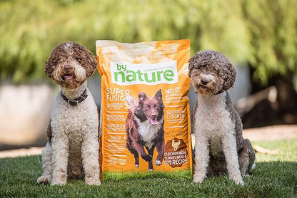 Dog Food Made in USA [Natural Dry Dog Food with Superfood Ingredients for Food Sensitivities and Immune Health], Chicken & Turkey Meal with Brown Rice Recipe, 44 lb. Bag (77080)