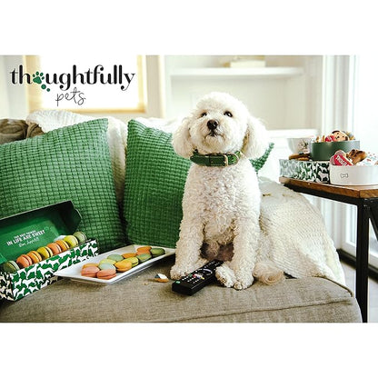 Thoughtfully Pets, Mini Dog Ice Cream Gift Set, Includes 3 Flavors of Dog-Friendly Ice Cream Powder Mix in Paper Cups, Just Add Water and Freeze, Set of 6