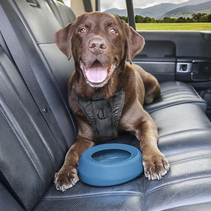 Kurgo Splash Free Wander Water Bowl, No Spill Dog Travel Bowl, Portable No Mess Bowl for Dogs, Splash Less Car Bowl for Pets, Car Accessories, 24 ounces (Coastal Blue)