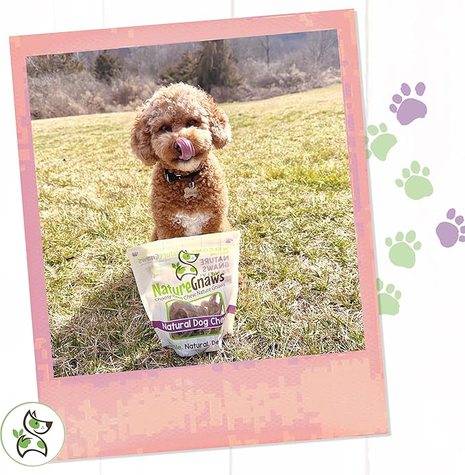 Nature Gnaws - Pork Bully Stick Pretzels for Dogs - Premium Natural Pork Dental Chews - Jerky Treats for Puppies and Small Breeds - Rawhide Free