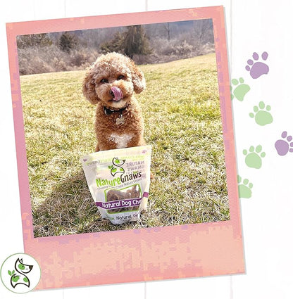 Nature Gnaws - Pork Bully Stick Pretzels for Dogs - Premium Natural Pork Dental Chews - Jerky Treats for Puppies and Small Breeds - Rawhide Free