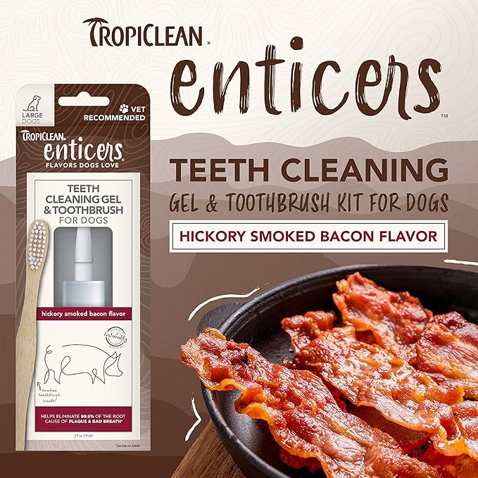 TropiClean Enticers Teeth Cleaning Gel & Toothbrush for Large Dogs | Hickory Smoked Bacon Flavor | Bamboo Brush Speeds Up Plaque Removal | Gel Helps Fight Bad Breath | 2 oz