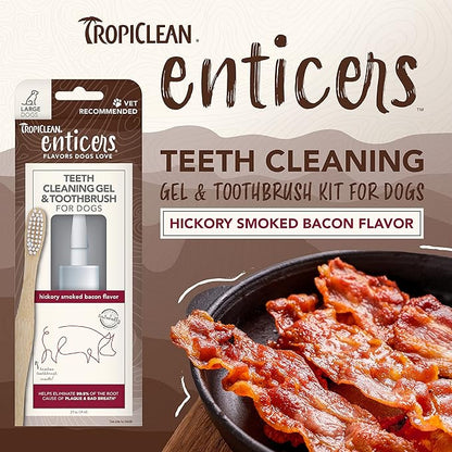 TropiClean Enticers Teeth Cleaning Gel & Toothbrush for Large Dogs | Hickory Smoked Bacon Flavor | Bamboo Brush Speeds Up Plaque Removal | Gel Helps Fight Bad Breath | 2 oz