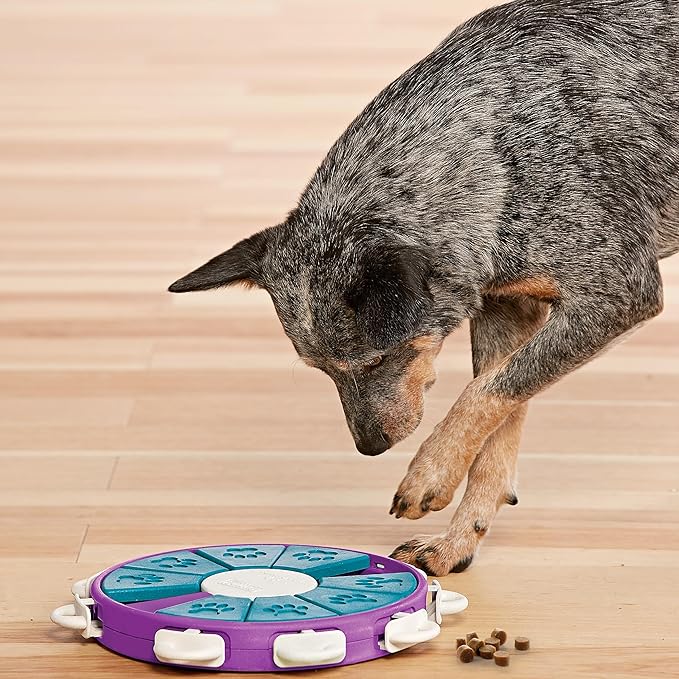 Outward Hound Nina Ottosson Dog Twister Dog Puzzle Interactive Treat Puzzle Dog Enrichment Dog Toy, Level 3 Advanced, Purple