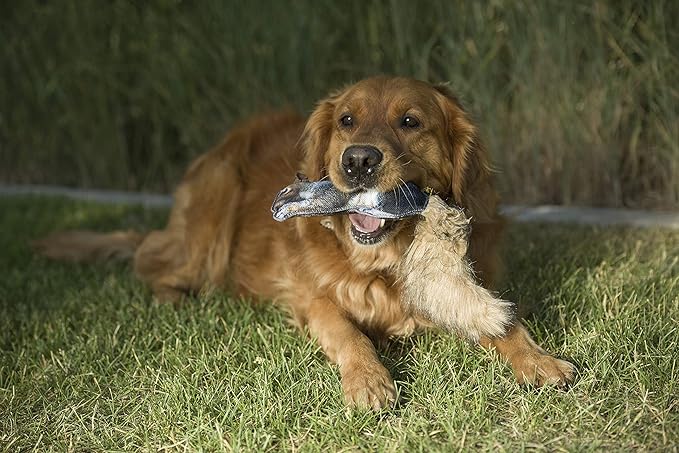 Browning Pet Toys, Durable Dog Toys for Tug and Fetch, Squirrel Fabric Squeaker Toy