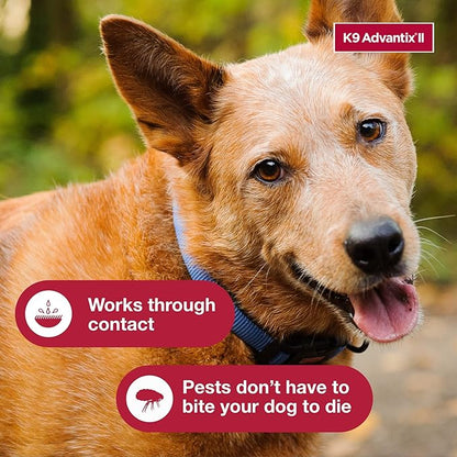 K9 Advantix II XL Dog Over 55 lbs & K9 Advantix II Large Dog 21-55 lbs Vet-Recommended Flea, Tick & Mosquito Treatment & Prevention | 1-Mo Supply Each
