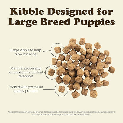 Now Fresh Grain Free Dog Food, 12 lb - Large Breed Puppy Food Recipe - Healthy Diet with Probiotics & Real Meat and Fish for Protein