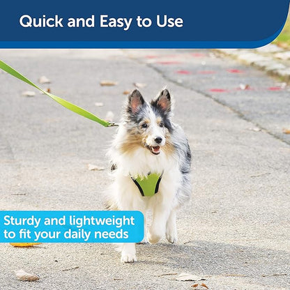 PetSafe Nylon Dog Leash - Strong, Durable, Traditional Style Leash with Easy to Use Bolt Snap - 1 in. x 6 ft., Apple Green