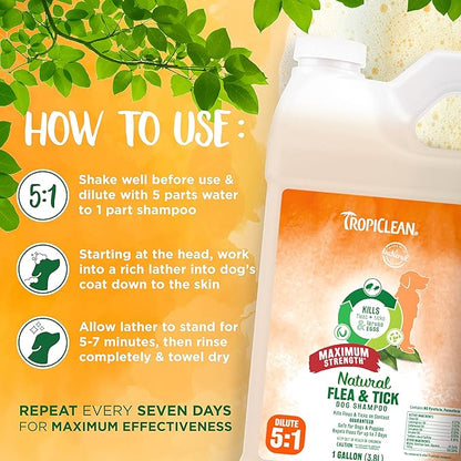 TropiClean Maximum Strength Natural Flea and Tick Dog Shampoo | Natural Flea and Tick Prevention for Dogs | Made in the USA | 1 gallon