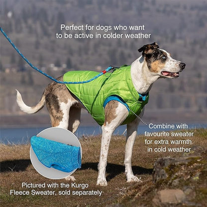 Kurgo Loft Dog Jacket, Reversible Dog Coat, Wear with Harness or Sweater, Water Resistant, Reflective, Winter Coat for Medium Dogs (Deep Violet, M)