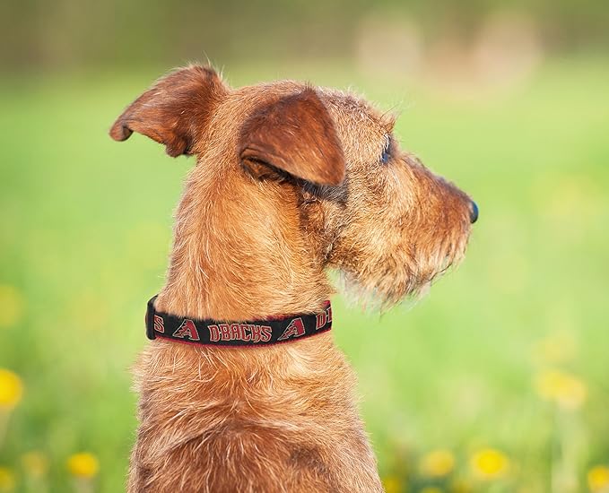 MLB Arizona Diamondbacks Licensed PET COLLAR- Heavy-Duty, Strong, and Durable Dog Collar. Available in 29 Baseball Teams and 4 Sizes