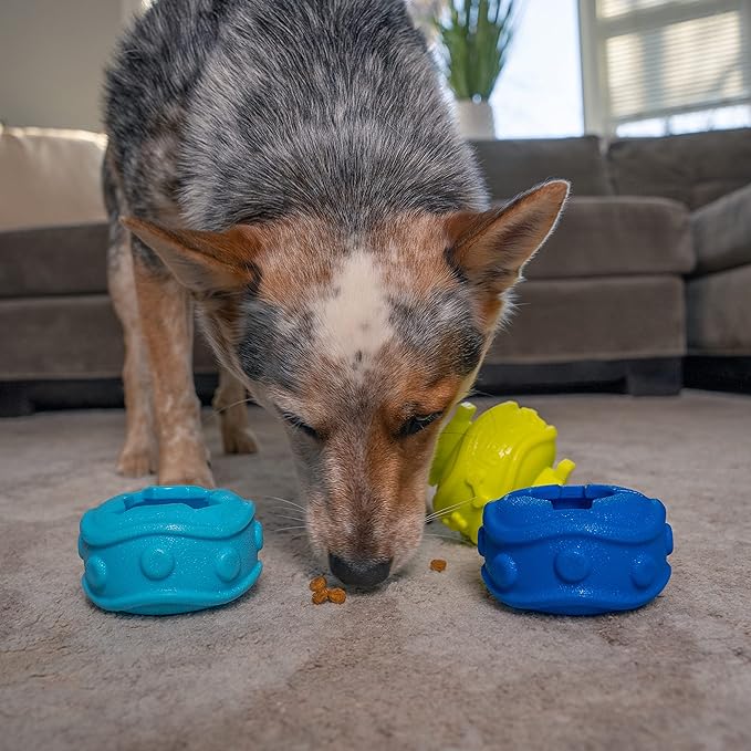 Outward Hound Treat Locking Discs Dog Treat Dispenser Puzzle Toy
