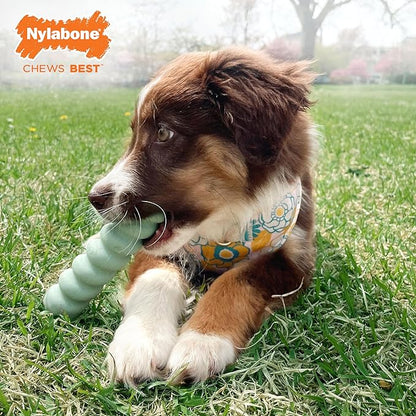 Nylabone Sensory Material Puppy Chew Toys Bundle - Puppy Teething Toys for Boredom & Stimulation - Puppy Supplies - Allergen-Free Peanut Butter and Chicken Flavor, Small/Regular (2 Count)