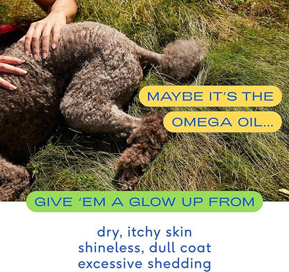 Native Pet Omega 3 Fish Oil Supplements with Omega 3 EPA DHA for Dogs Liquid Pump is Easy to Serve, Supports Itchy Skin + Mobility - Pollock & Salmon Oil for Dogs, The Fish Oil Dogs Love! (16 oz)