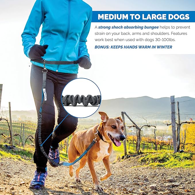 Hands Free Dog Leash, A Dog Running Leash for Dogs That Makes A Great Waist Leash for Dog Walking, Double Handle Bungee Dog Leash with Reflective Stitching and Adjustable Dog Walking Belt