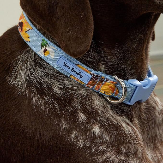 Vera Bradley Women's Recycled Lighten Up Water-repellent Adjustable Pet Collar, Glass Vines, Medium