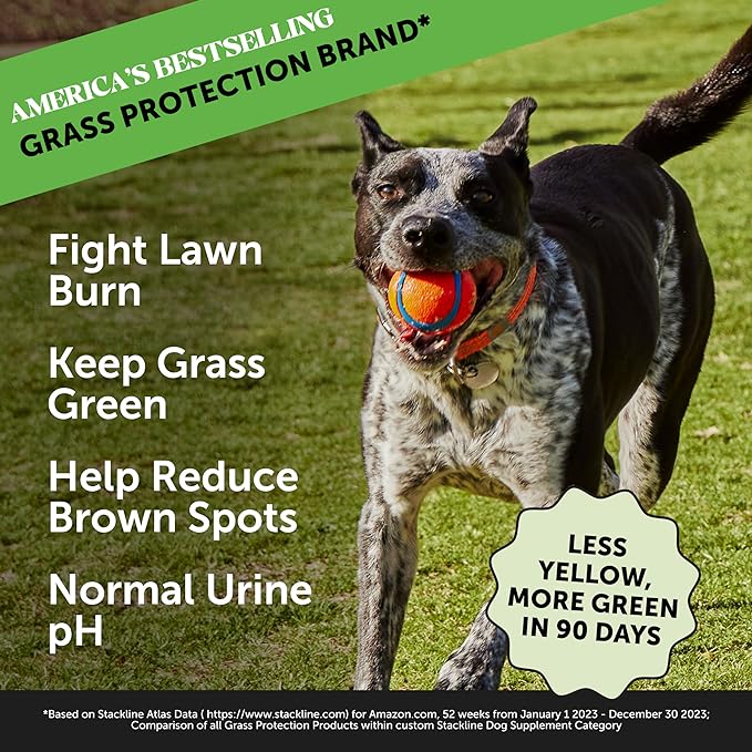 Pet Honesty Grass Green - Pee Grass Spot Saver Caused by Dog Urine, Gut Health Probiotics, Dog Urine Neutralizer for Lawn, Grass Burn Spot Chews, Cranberry, Apple Cider Vinegar, Dog Rock (Turkey 90ct)