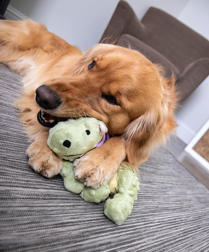 goDog Bubble Plush Dragons Squeaky Dog Toy, Chew Guard Technology - Lime, Large