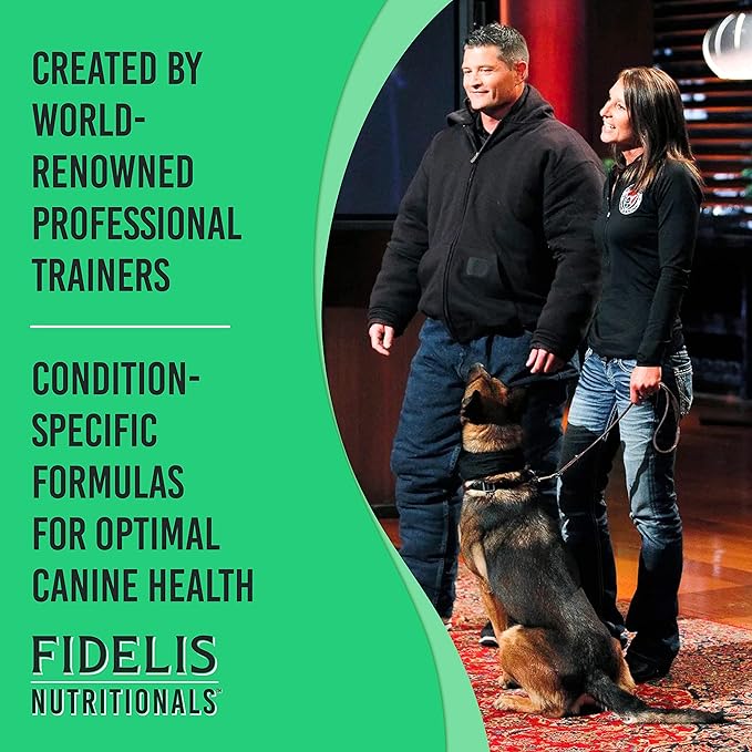 FIDELIS Dog Joint Supplement for Large & Small Breeds (60 Soft Chews), Made in USA, Glucosamine Chondroitin for Dogs, Green-Lipped Mussel, Amino Acids, Omega Fatty Acids for Joint Health