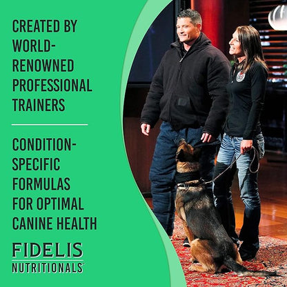 FIDELIS Dog Joint Supplement for Large & Small Breeds (60 Soft Chews), Made in USA, Glucosamine Chondroitin for Dogs, Green-Lipped Mussel, Amino Acids, Omega Fatty Acids for Joint Health