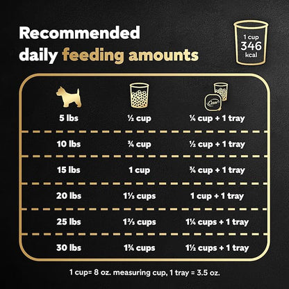 CESAR Small Breed Dry Dog Food, Filet Mignon Flavor and Spring Vegetables Garnish, 2.7 lb. Bag
