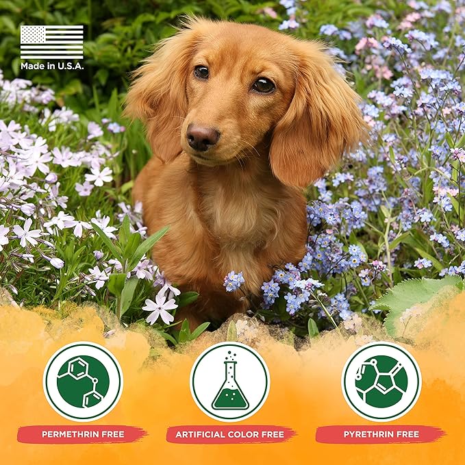 TropiClean Natural Flea and Tick Yard Spray | Maximum Strength Tick Spray for Yard Kills on Contact | Family-Friendly & Safe | Made in the USA | 32oz