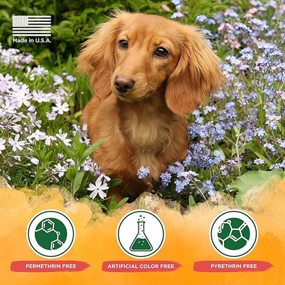 TropiClean Natural Flea and Tick Yard Spray | Maximum Strength Tick Spray for Yard Kills on Contact | Family-Friendly & Safe | Made in the USA | 32oz