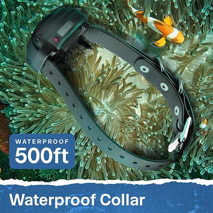 E-Collar - ET-300-1/2 Mile Remote Waterproof Trainer Mini Educator Remote Training Collar - 100 Training Levels Plus Vibration and Sound - includes PetsTEK Dog Training Clicker