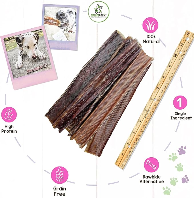 Nature Gnaws - Beef Jerky Chews for Large Dogs - Premium Natural Beef Gullet Sticks - Simple Single Ingredient Tasty Dog Chew Treats - Rawhide Free 9-10 Inch