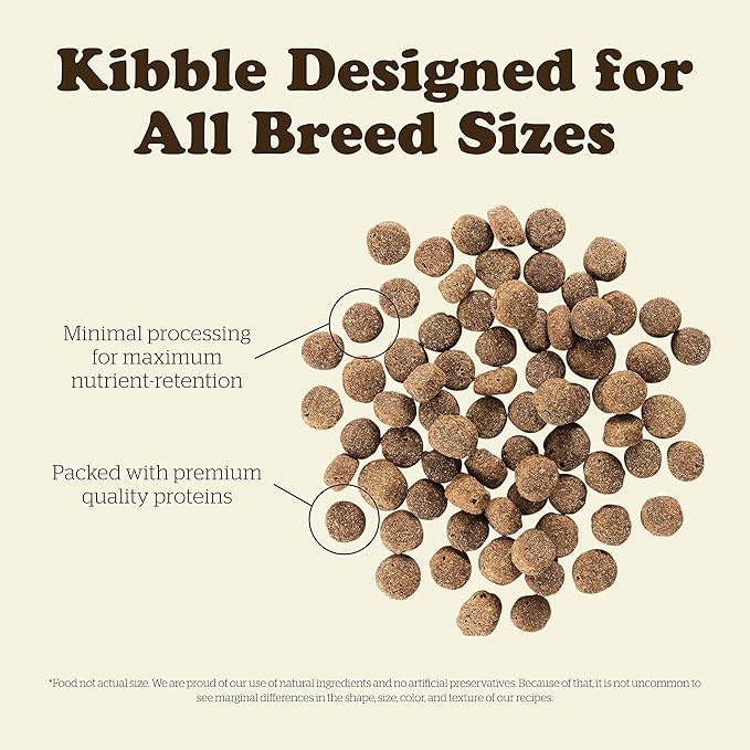 Now Fresh Grain Free Dog Food, 3.5 lb - Dry Dog Food Senior Recipe for Dogs - Real Meat and Fish for Protein - Healthy Diet for Small, Medium and Large Breed