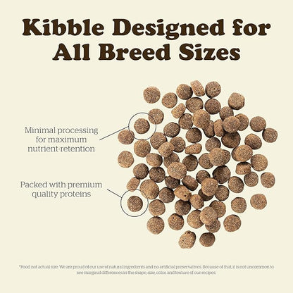 Now Fresh Grain Free Dog Food, 3.5 lb - Dry Dog Food Senior Recipe for Dogs - Real Meat and Fish for Protein - Healthy Diet for Small, Medium and Large Breed